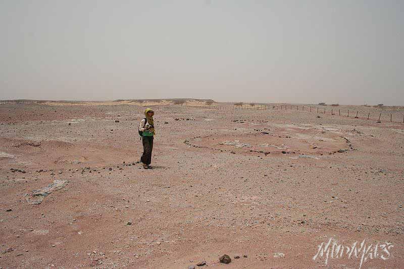 Mud Maps Africa Agadez dinosaur bones 3388